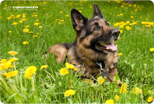 Esperanza EA133 Egérpad, Mintás