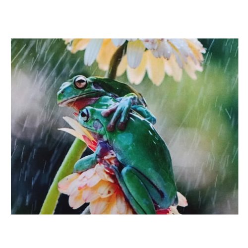 Nyomtatott Csúszásgátló Egérpad 24.5 cm x 19.5 cm, Békák az Esőben