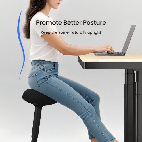 Flexispot BH4B Állítható magasságú egyensúlyozó szék, Fekete