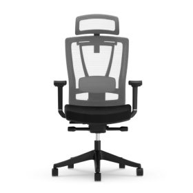   FlexiSpot BS14 Ergonomikus Irodai Szék, Fekete – Állítható Deréktámasszal