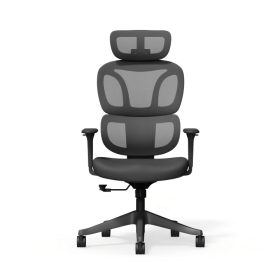   FlexiSpot BS5 ergonomikus irodai szék, fekete – hálós háttámla, állítható karfák és modern megjelenés