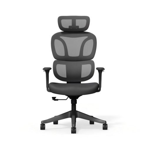 FlexiSpot BS5 ergonomikus irodai szék, fekete – hálós háttámla, állítható karfák és modern megjelenés