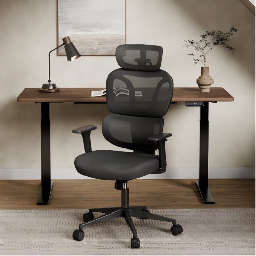 FlexiSpot BS5 ergonomikus irodai szék, fekete – hálós háttámla, állítható karfák és modern megjelenés