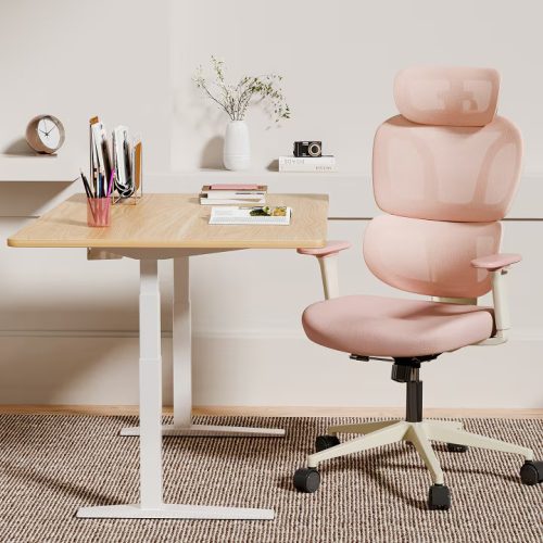 FlexiSpot BS5 ergonomikus irodai szék, rózsaszín – hálós háttámla, állítható karfák és modern megjelenés