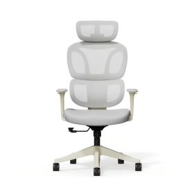   FlexiSpot BS5 ergonomikus irodai szék, szürke– hálós háttámla, állítható karfák és modern megjelenés