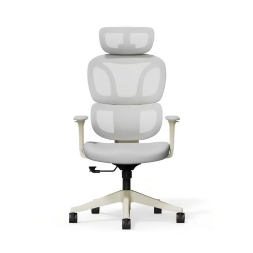 FlexiSpot BS5 ergonomikus irodai szék, szürke– hálós háttámla, állítható karfák és modern megjelenés