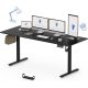 FLEXISPOT ONE PIECE Elektromos Állítható Íróasztal, Kétmotoros, 200×80 Cm – Magasságállítható Ülő-Álló Asztal Vázzal és Fekete Asztallappal, Otthoni Irodába