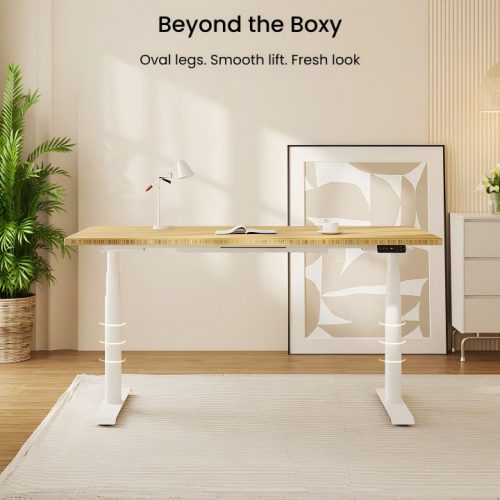 FLEXISPOT E8 Elektromos Íróasztal ovális Láb, Fekete, 60-125cm Állítható, Kétmotoros, 125 kg Teherbírás, LED érintőképernyő, 4 memóriahely, USB töltőport