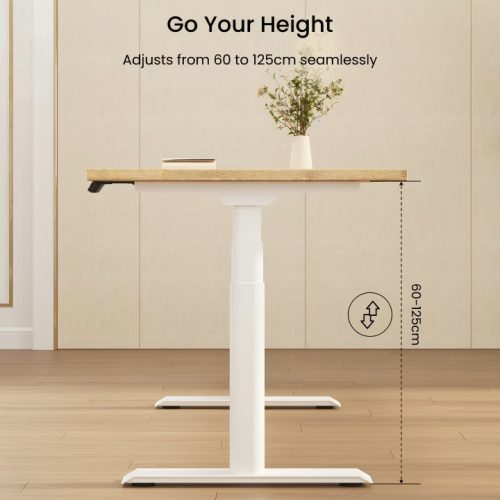 FLEXISPOT E8 Elektromos Íróasztal ovális Láb, Fekete, 60-125cm Állítható, Kétmotoros, 125 kg Teherbírás, LED érintőképernyő, 4 memóriahely, USB töltőport