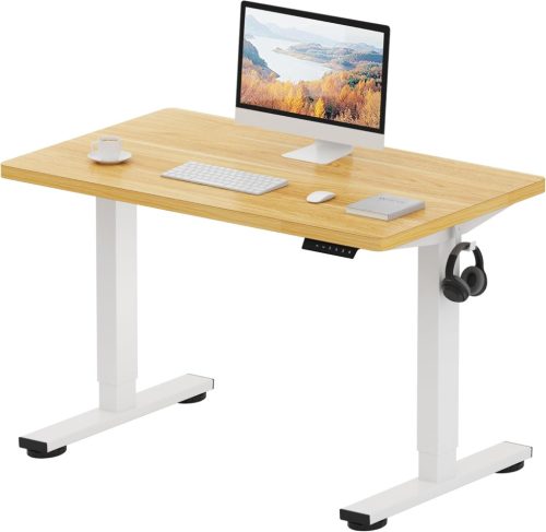 FLEXISPOT ONE PIECE Electric Standing Desk 120×60 cm – Height Adjustable Sit-Stand Desk with Frame and Maple Desktop, for Home Office