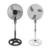 ESPERANZA EHF002KE Typhoon 40 cm Átmérőjű Ventilátor, Fekete/Szürke