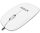 ESPERANZA XM111W Lacerta 3D USB-C Vezetékes Optikai Egér, Fehér