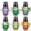 Phatoil 6 Darabos Illóolaj Szett, 6x10ml – Aromaterápiához, Relaxációhoz és Közérzetjavításhoz