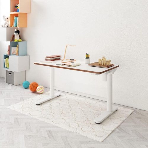 Flexispot SD1 elektromos állítható tanulóasztal, 100×60 cm