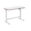 Flexispot SD1 elektromos állítható tanulóasztal, 100×60 cm