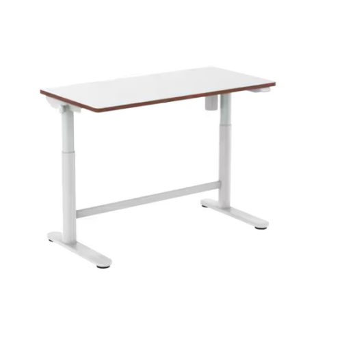 Flexispot SD1 elektromos állítható tanulóasztal, 100×60 cm