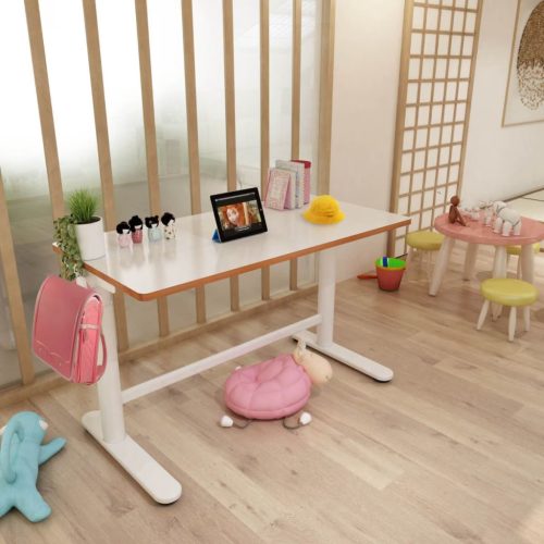 Flexispot SD1 elektromos állítható tanulóasztal, 100×60 cm