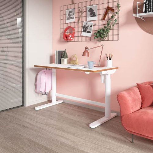 Flexispot SD1 elektromos állítható tanulóasztal, 100×60 cm