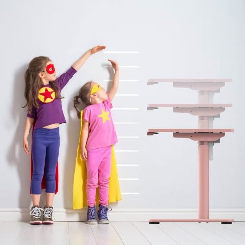 Flexispot SD1 elektromos állítható tanulóasztal, 100×60 cm