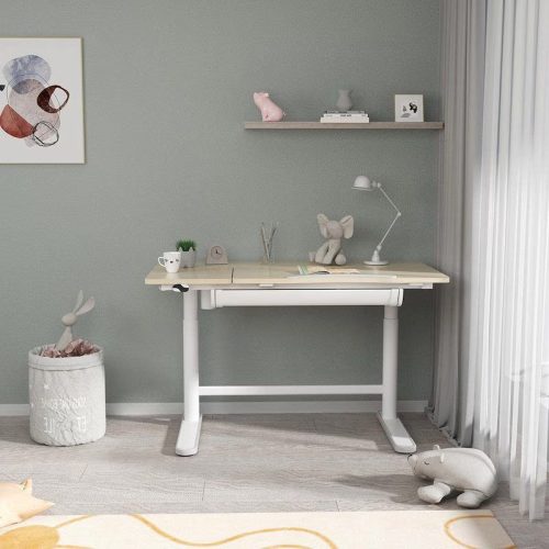 Flexispot SD2 elektromos állítható tanulóasztal, 112×60 cm