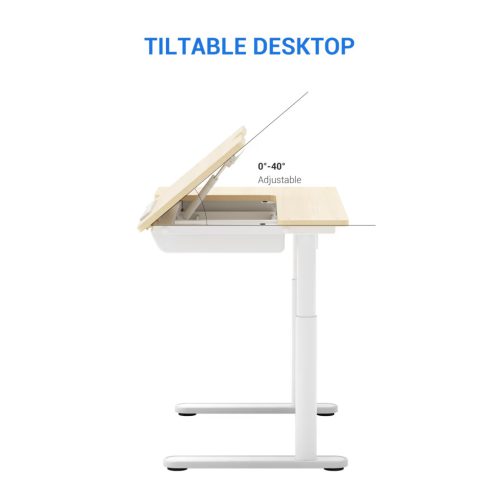 Flexispot SD2 elektromos állítható tanulóasztal, 112×60 cm