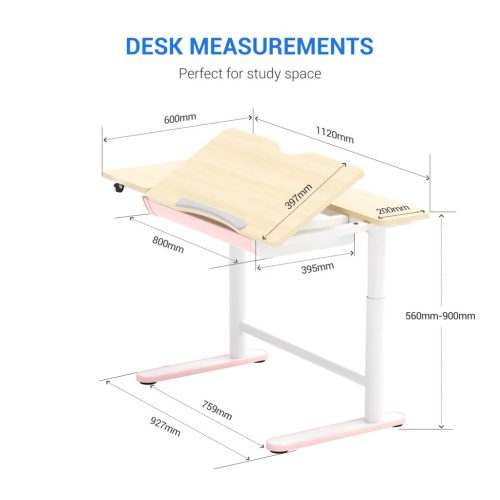 Flexispot SD2 elektromos állítható tanulóasztal, 112×60 cm