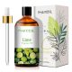 Phatoil 100 ml Illatolaj – Aromaterápiához, Relaxációhoz és Közérzetjavításhoz, Lime Illatú