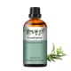 Phatoil 30 ml Természetes Illóolaj – Aromaterápiához, Relaxációhoz és Közérzetjavításhoz, Eukaliptusz Illatú