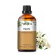 Phatoil 30 ml Természetes Illóolaj – Aromaterápiához, Relaxációhoz és Közérzetjavításhoz, Narancsvirág Illatú