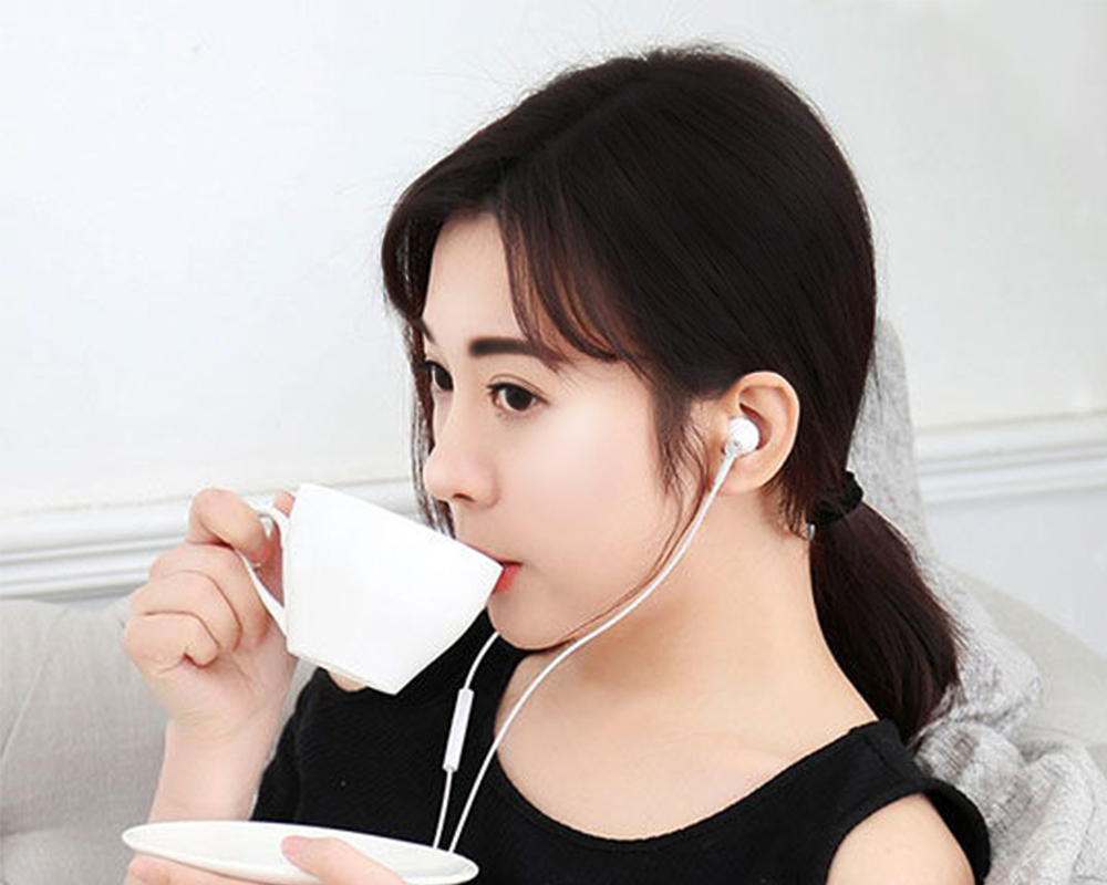 Xiaomi Mi Dual Driver Earphones Sztereó Fülhallgató (USB-C)