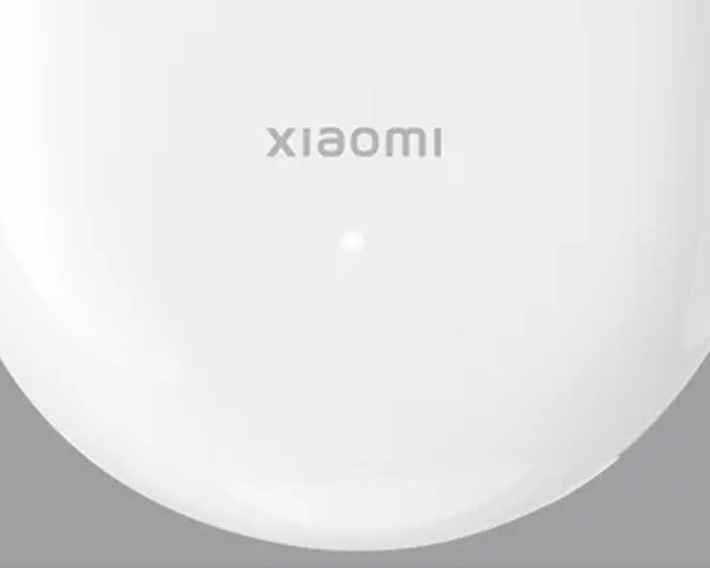 	Xiaomi Lint Remover	