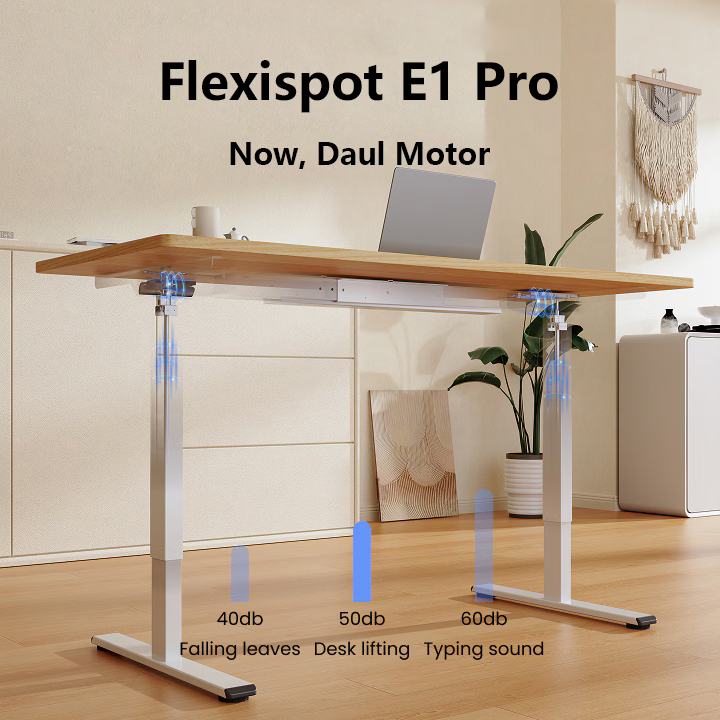 Flexispot E1 Pro Standing Desk