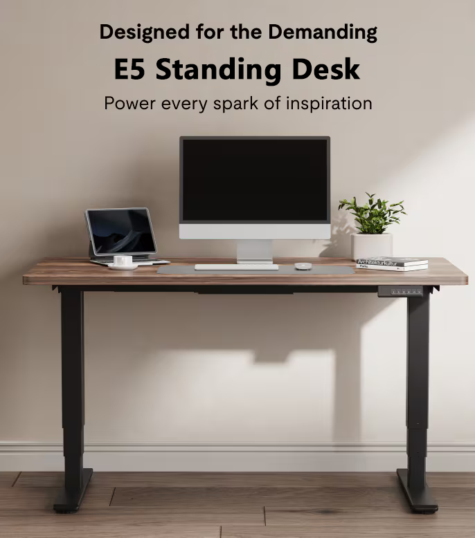 Flexispot E5 Standing Desk